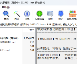 世界银行：分布式可再生能源领域负责任的数据共享框架（英译中）20251011