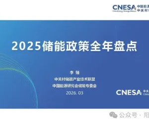 2025储能行业政策全年盘点202603