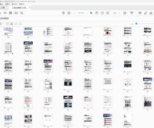 工商业储能C2C双链安全白皮书