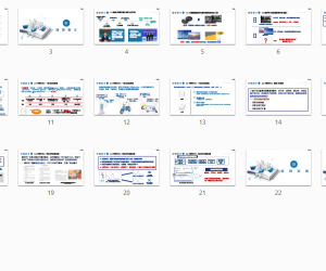 自趋优虚拟电厂的研究与实践