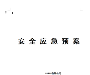 安全应急预案20251211