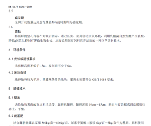 【108138】DB 54 T 0666-2026光伏电站紫花苜蓿人工草地建植技术规程