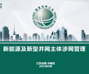 【108411】新能源及新型并网主体涉网管理详解(85页)2025.06