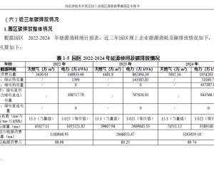 【107206】某工业园区国家级零碳园区申报书（终）2025.08