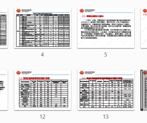 【108546】关于我国外送输电通道有关情况的报告2021.07