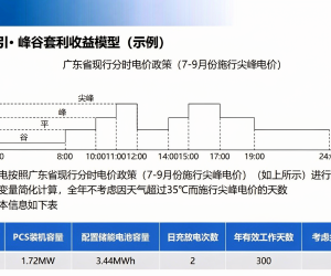 【108065】工商业储能业务开发要点及分享