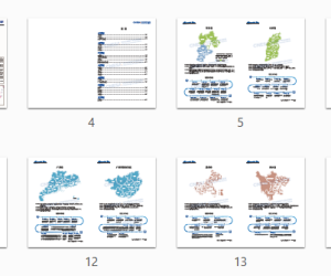 中国独立储能市场机制政策地图2025