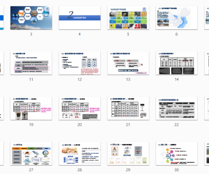 灾害对光伏电站的性能影响分析2022.03
