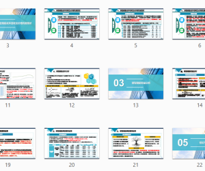 新型储能商业模式与经济性研究2022.09