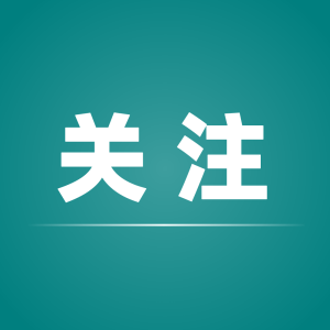 国家电投上海电力董事长辞职