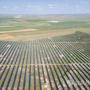 2.69元/瓦丨达茂旗300MW“草光互补”项目EPC中标候选人公示